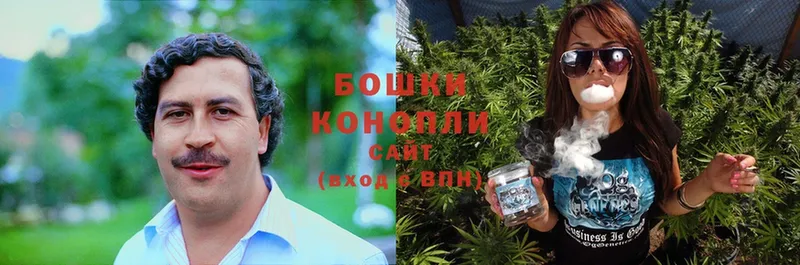 Конопля OG Kush  Кадников 